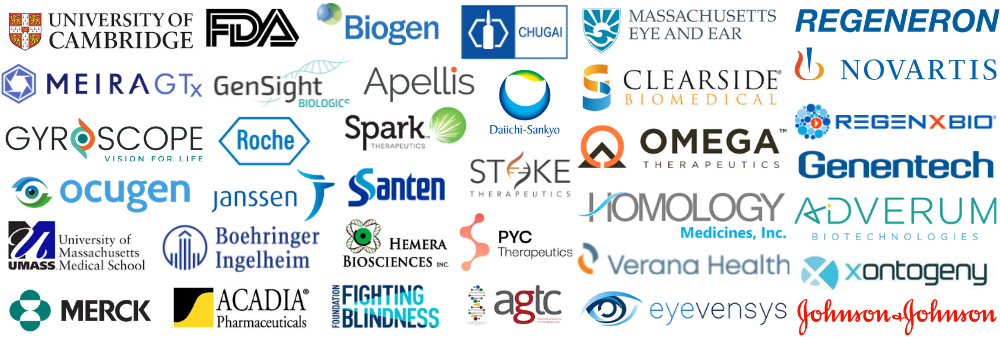 Gene Therapy Ophthalmic Disorders - Who Attended Gene Therapy Ophthalmic Disorders - Who Attended